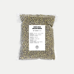 Costa Rica Arleen Maria - Green Bean